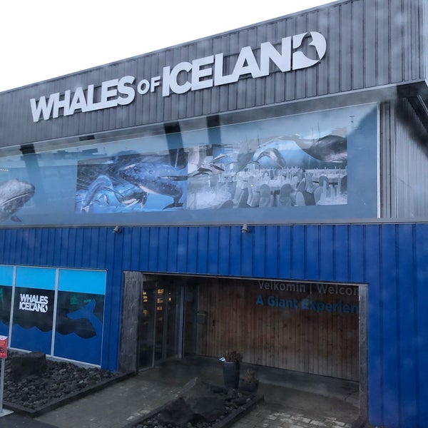 Photo taken at Whales of Iceland by Sergey D. on 12/30/2018
