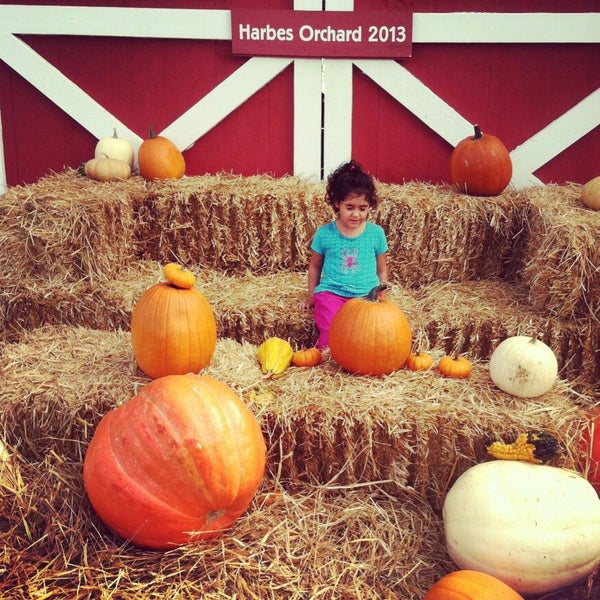 Photo taken at Harbes Family Farm by Samantha F. on 10/14/2013