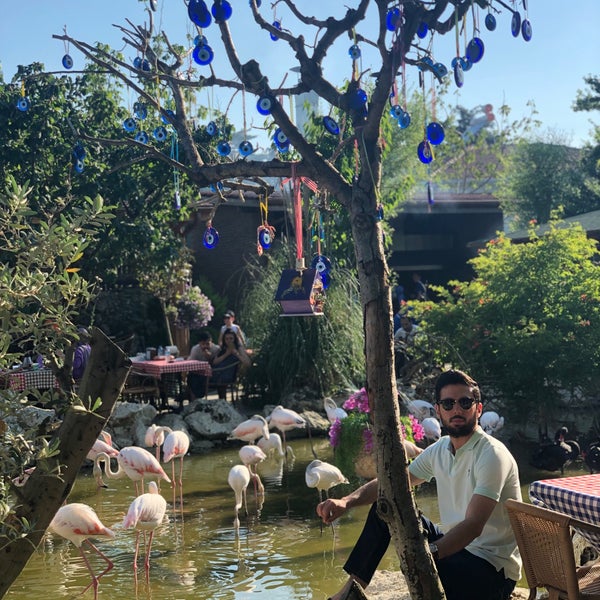 Flamingo Köy Gökçeali 295 tavsiye