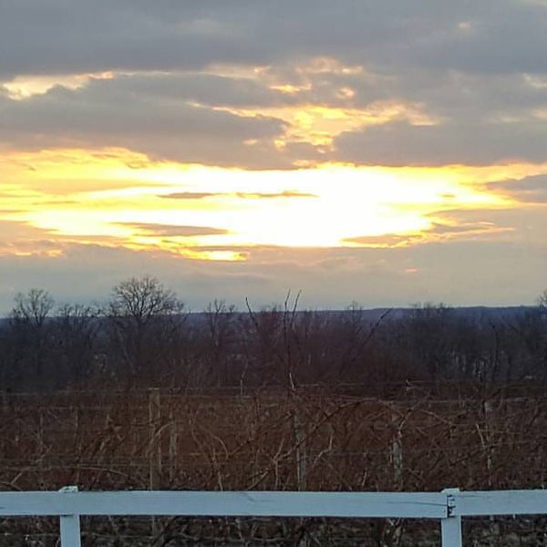 Photo taken at Ventosa Vineyards by Mary S. on 1/9/2016