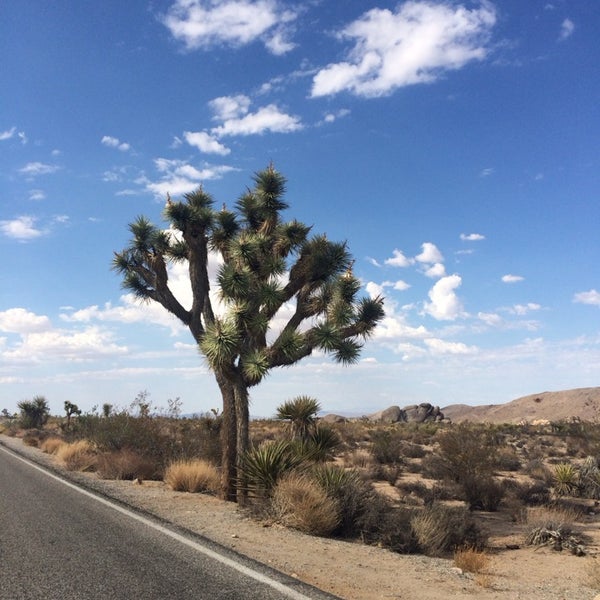 Joshua Tree National Park Pay Entrance Twentynine Palms, CA
