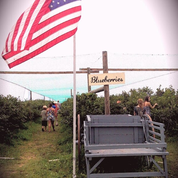 Photo taken at Pattys Berries and Bunches by Theresa W. on 7/28/2013