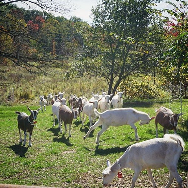 Das Foto wurde bei Sprout Creek Farm von Theresa W. am 10/11/2015 aufgenommen