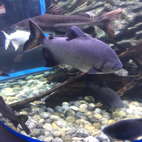 Photo taken at Aquarium Cancun by Cryst N. on 1/25/2019
