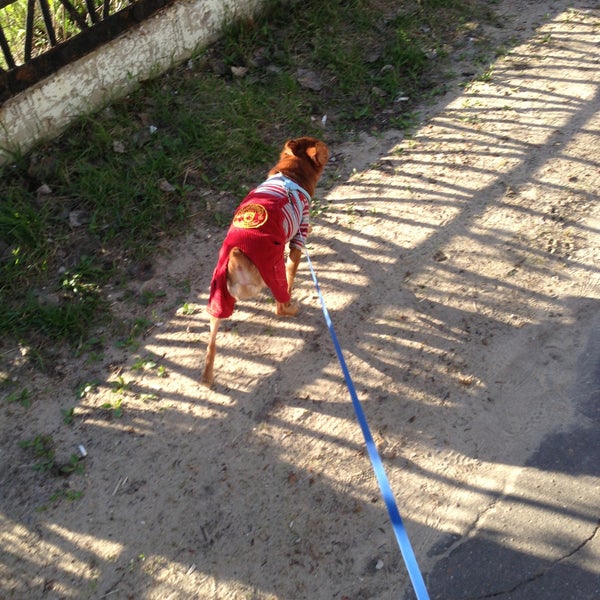 Спортивная 3 б