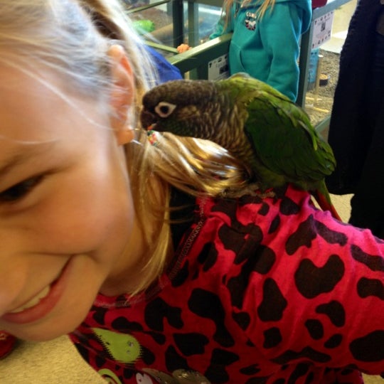 Photo taken at Petland Overland Park by Kimberly W. on 11/23/2012