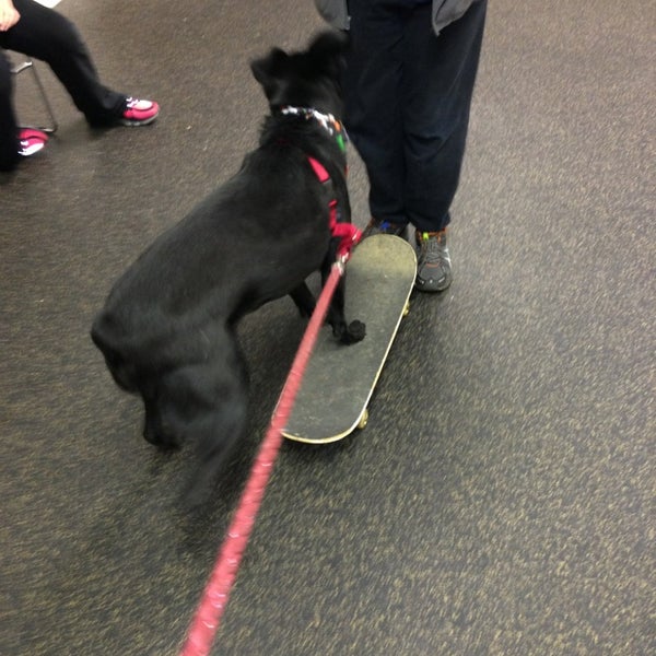 Photos at Kentucky Humane Society East Campus Animal Shelter in