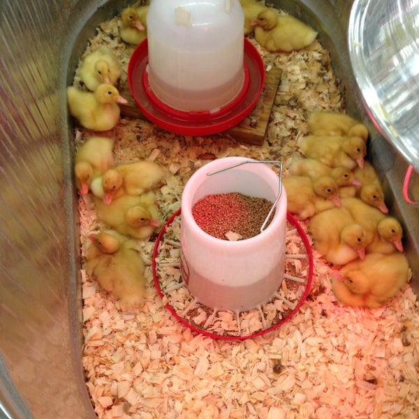 Tractor Supply Co. Hardware Store in Minot