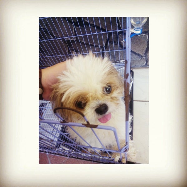 Kiara Sari Asri Bandung Jawa Barat