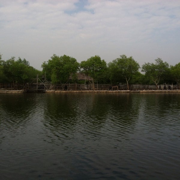 Photos At Mangrove Tanjung Burung 1 Tip From 53 Visitors