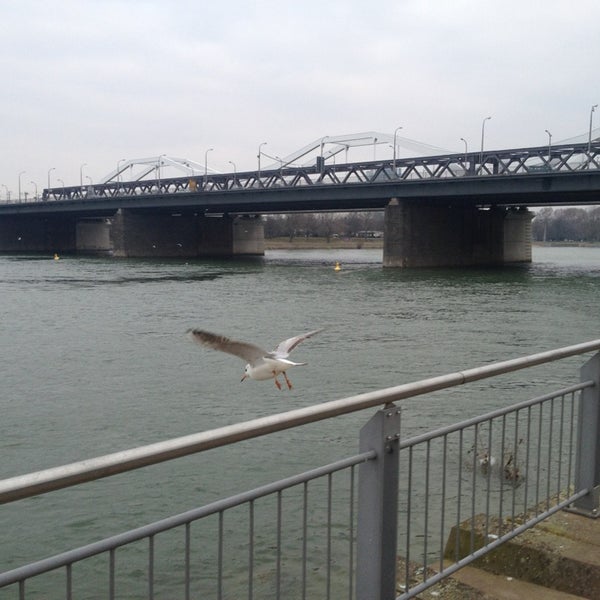 Photo taken at Ludwigshafen am Rhein by Stefan on 2/12/2013