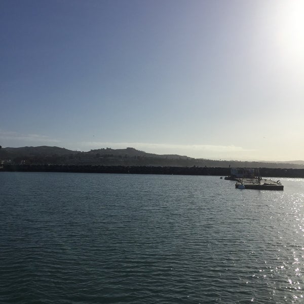 3/12/2016 tarihinde Jamalyn B.ziyaretçi tarafından Dana Wharf Whale Watching'de çekilen fotoğraf