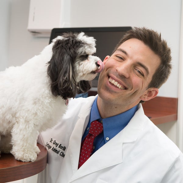 Photos At Cottage Animal Clinic Of Carmel 420 N Rangeline Rd