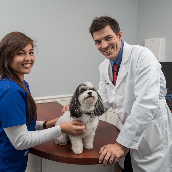 Photos At Cottage Animal Clinic Of Carmel 420 N Rangeline Rd