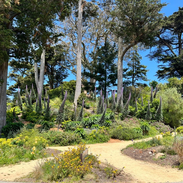 รูปภาพถ่ายที่ San Francisco Botanical Garden โดย Irina N. เมื่อ 5/12/2023
