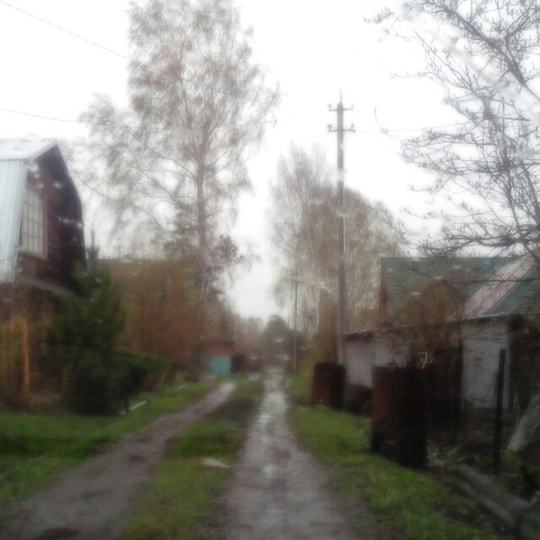 Место, где жестоко убили собаку в июле, снова стало "горячей точкой" на карте Бе