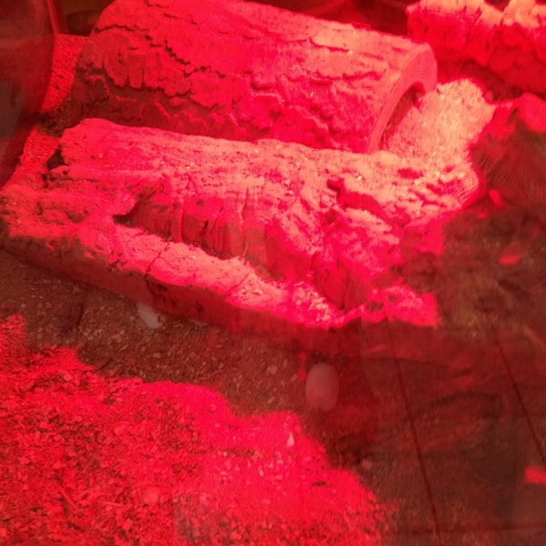 Pet Supplies Plus Kalamazoo 4 tips