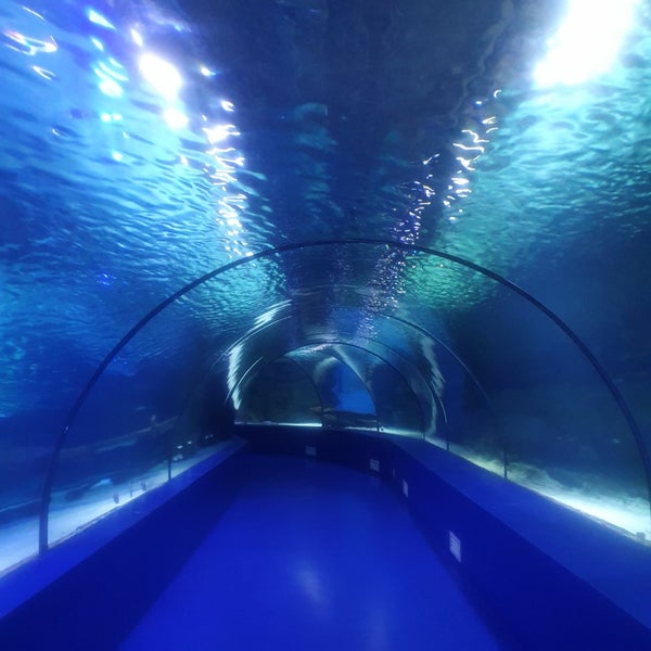 Foto tirada no(a) Antalya Aquarium por Didomido em 7/27/2023