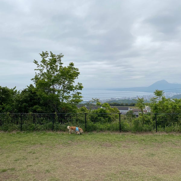 次での写真 別府湾sa ドッグラン 92人の訪問者 次での写真 別府湾sa ドッグラン 92人の訪問者