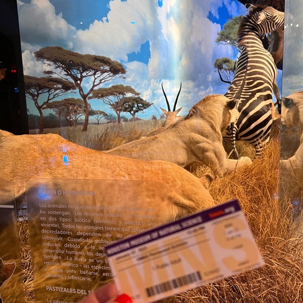 Photo taken at Houston Museum of Natural Science by Alice E. K. on 1/7/2023