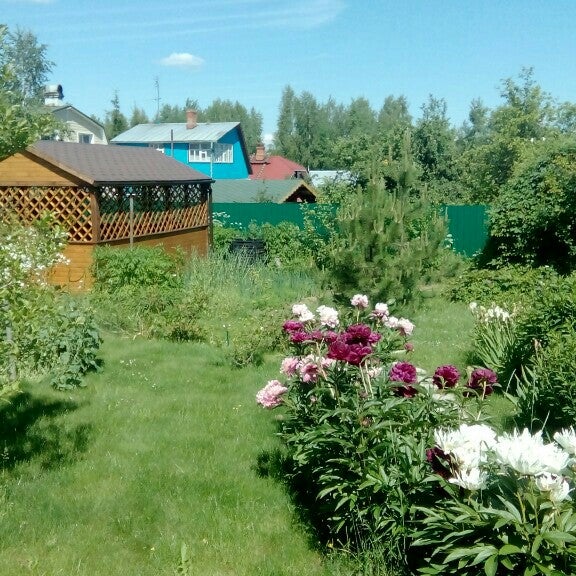 Купить Дачу В Снт Ветеран