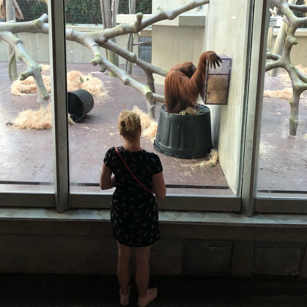 8/14/2019 tarihinde Alain V.ziyaretçi tarafından Zoo Basel'de çekilen fotoğraf