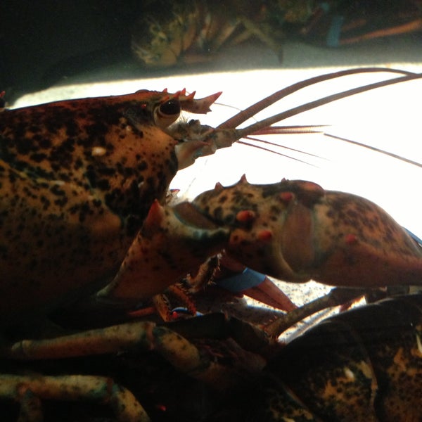 รูปภาพถ่ายที่ Red Lobster โดย Jeebah L. เมื่อ 5/12/2013