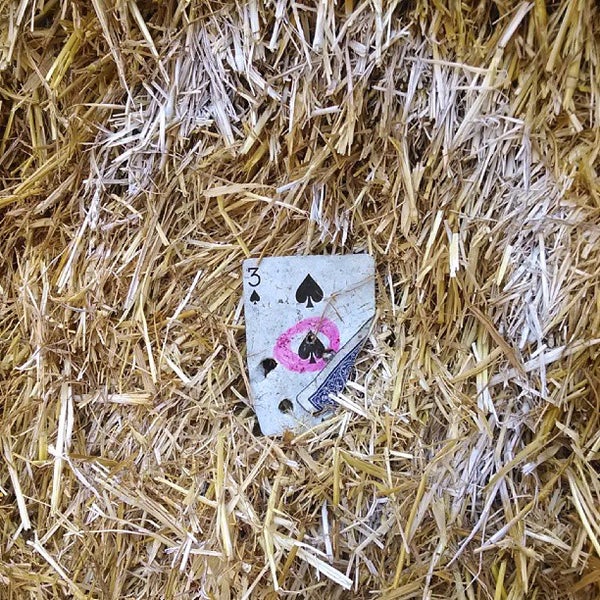 Photos at Washington Park Archery Range 1 tip