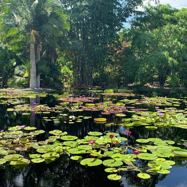 Foto diambil di Naples Botanical Garden oleh Gretchen N. pada 6/22/2022