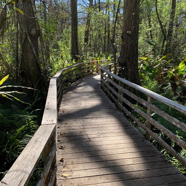 Photo taken at Audubon&#39;s Corkscrew Swamp Sanctuary by Gretchen N. on 2/2/2020