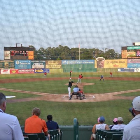 Delmarva Shorebirds Seating Chart