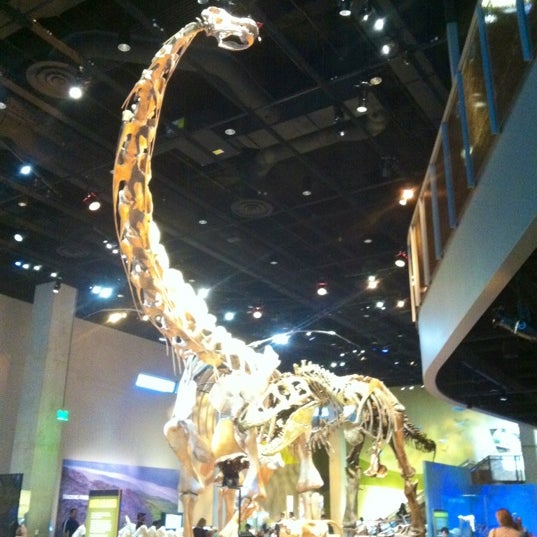 Photo taken at Perot Museum of Nature and Science by Allison C. on 11/25/2012