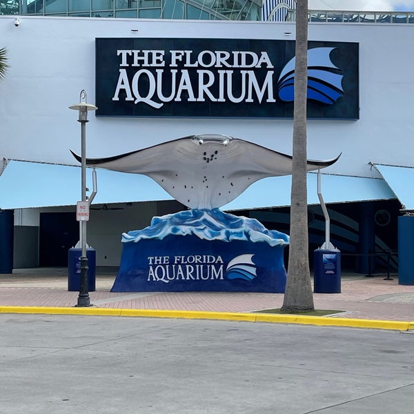 Снимок сделан в The Florida Aquarium пользователем Valerie O. 2/17/2022