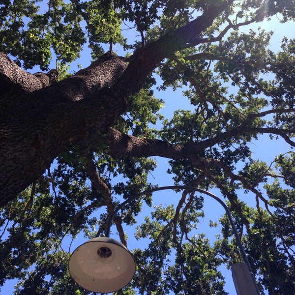 Two Bird Cafe San Geronimo, CA