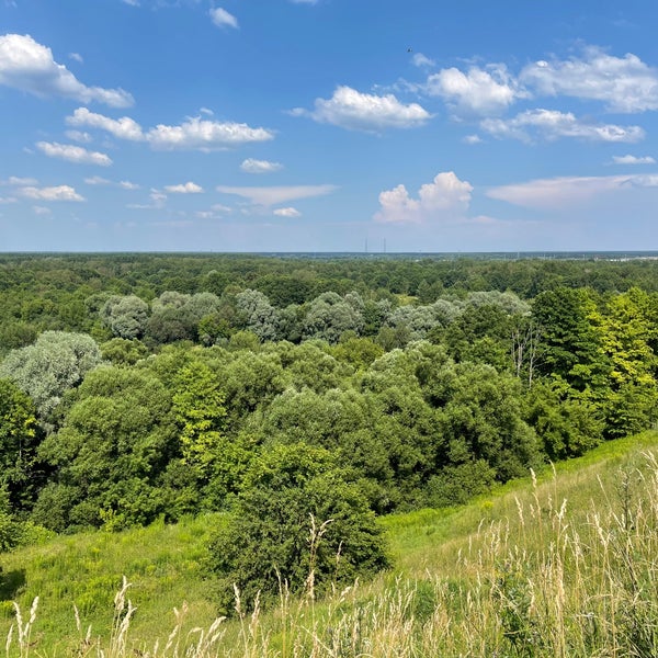 Чашин курган брянск карта