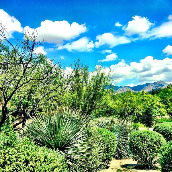 Photo taken at Canyon Ranch in Tucson by Brad K. on 6/10/2015