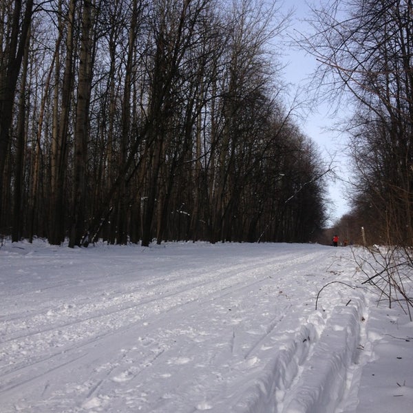 Горнолыжка Чайка Самара