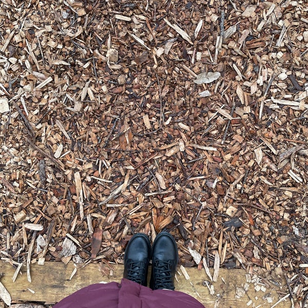 Celery Bog Nature Area 9 tips from 197 visitors