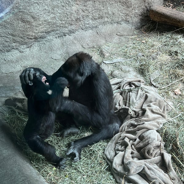 10/23/2022にKaydeeがウッドランドパーク動物園で撮った写真