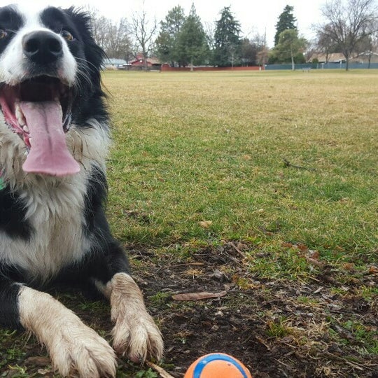 Winstead Park Boise, ID