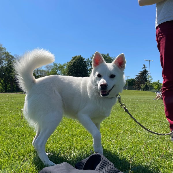 Cedarvale Park Field