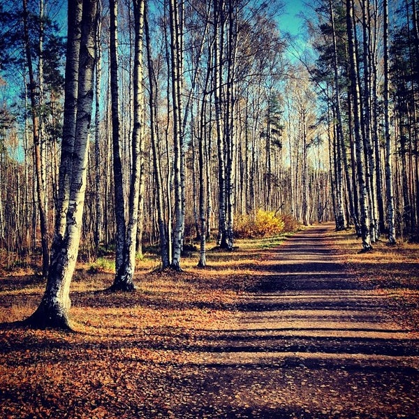 Пискаревский Парк Фото