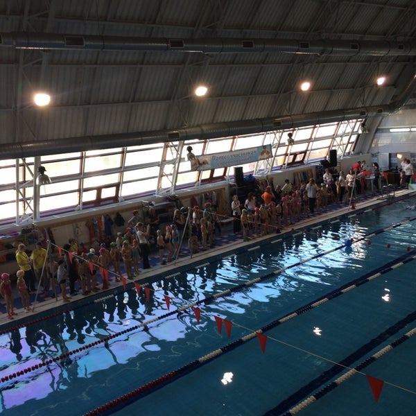 Бассейн дюсш. Бассейн дюсш. Пойковский нептун бассейн. Бассейн дельфин белореченск. Бассейн янтарь строгино.