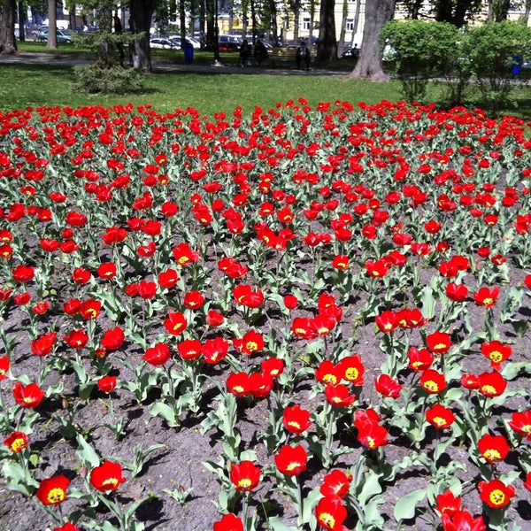 Foto diambil di Парк ім. Тараса Шевченка oleh Daria N. pada 4/29/2013