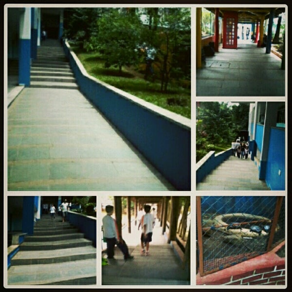 piaget são bernardo