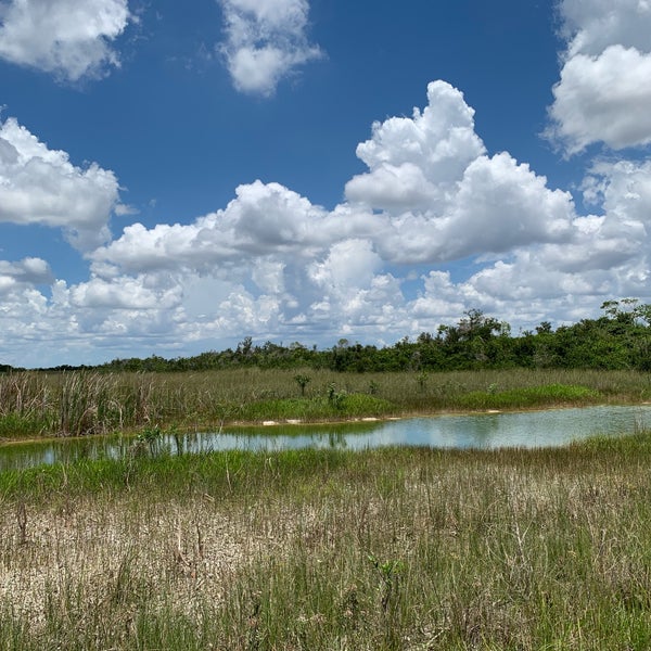 6/12/2019에 Sara ..님이 Everglades River of Grass Adventures에서 찍은 사진