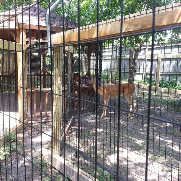 7/19/2014 tarihinde Michael R.ziyaretçi tarafından The Children&#39;s Zoo at Celebration Square'de çekilen fotoğraf