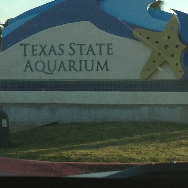 Das Foto wurde bei Texas State Aquarium von Ale Q. am 3/14/2013 aufgenommen