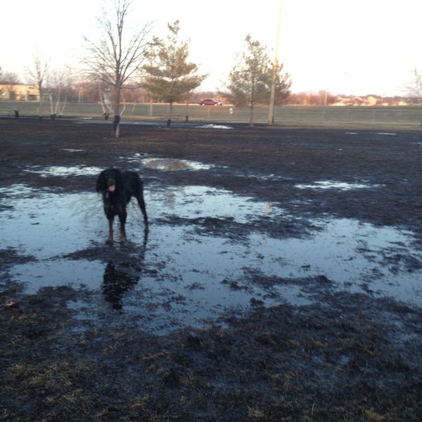North Dog Park Rochester, MN