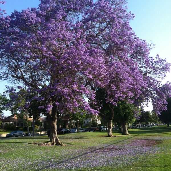 Montebello City Park Montebello, CA